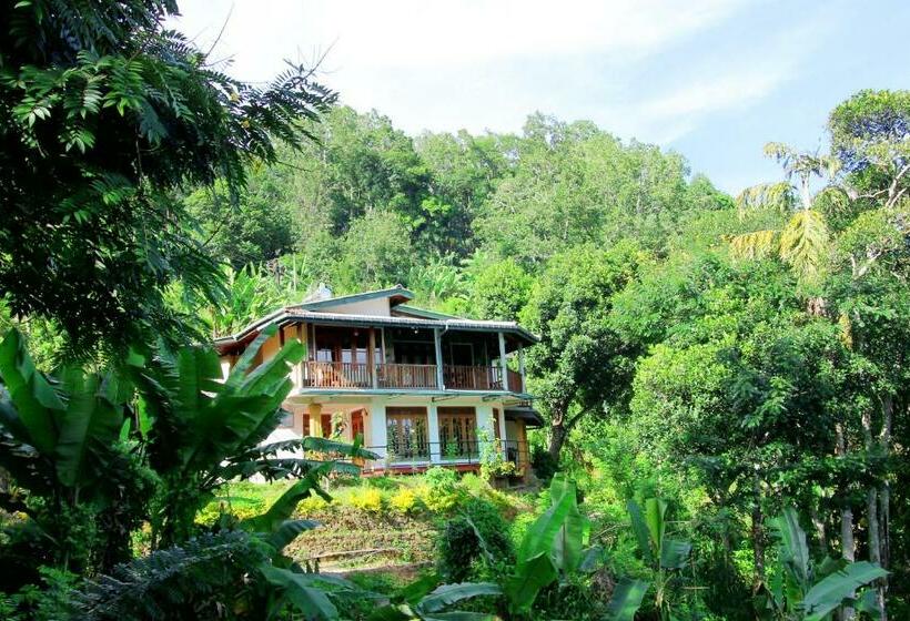 Quarto Deluxe com Sacada, Blue Ribbon Homestay