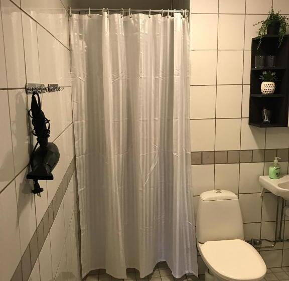 共用浴室的经济型房间, Hedemora Logi