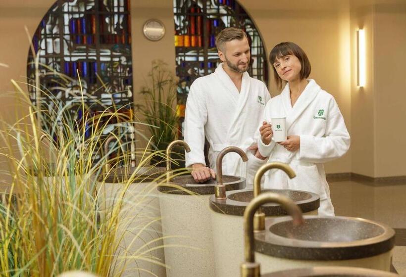 اتاق عادی, Eglė Plus Medical Spa