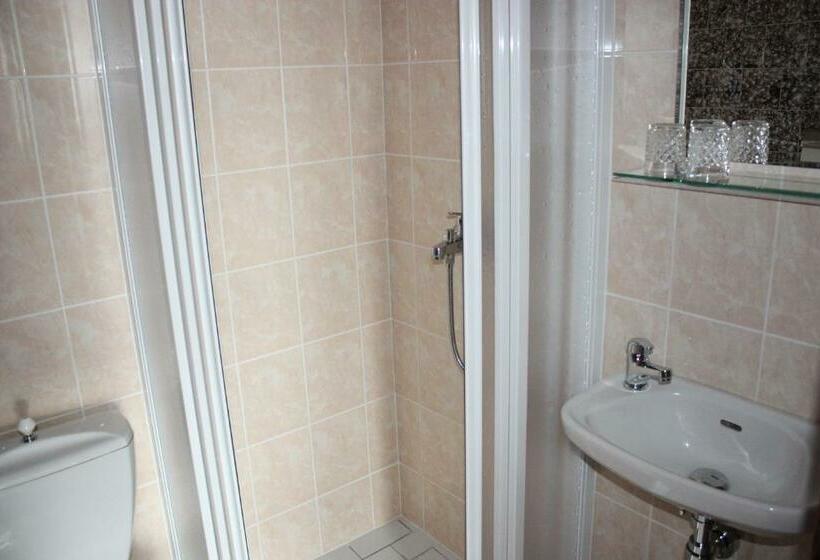 اتاق استاندارد سه نفره, Hynek