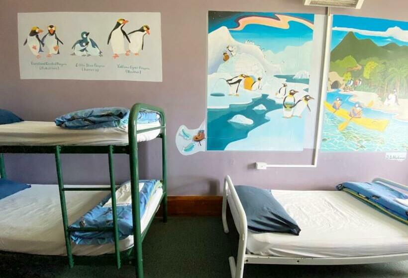 공동 객실, Noah's Ark Backpackers
