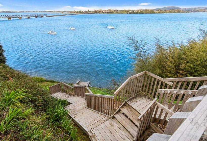 이그제큐티브 스위트, The Tauranga On The Waterfront