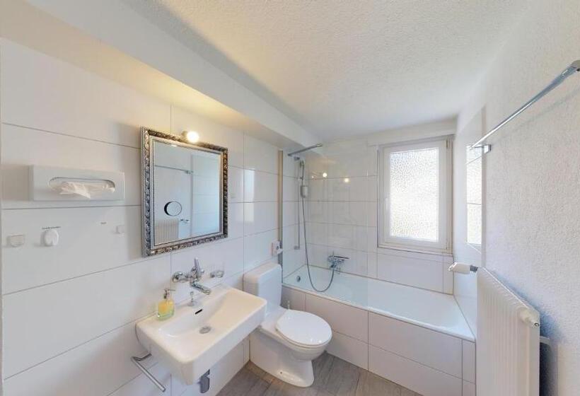 חדר סטנדרט חדר אמבטיה משותף, Bnb Haus Weibel