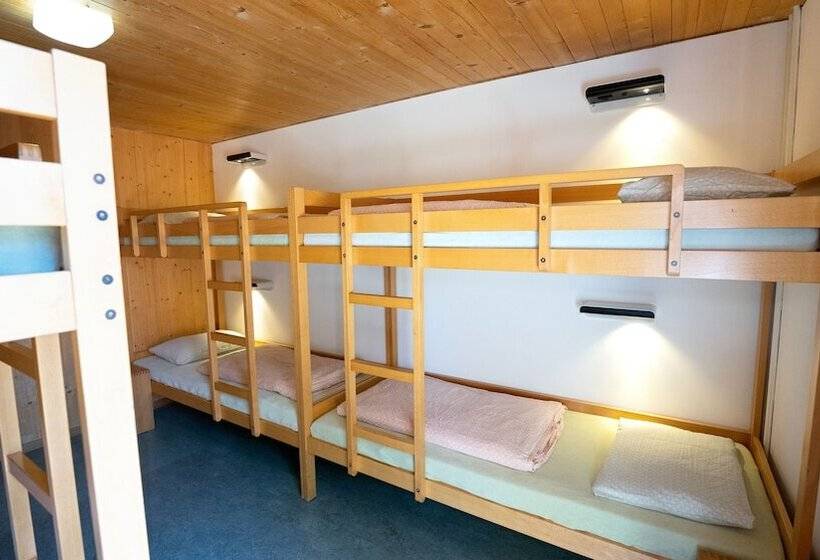 Номер Стандарт Совместная Ванная, Brienz Youth Hostel
