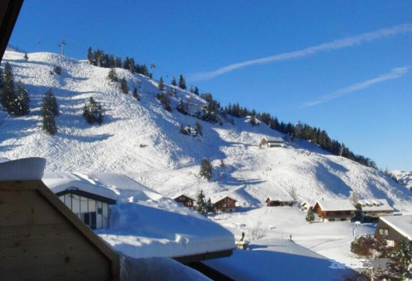 سوئیت جونیور با چشم‌انداز کوهستان, Caschu Alp Boutique Design Hotel Stoos   Adults Only
