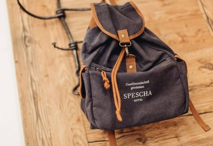 اتاق استاندارد, Spescha