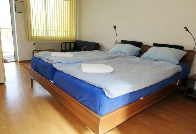 Номер Economy, Swiss Hostel Lago Lodge