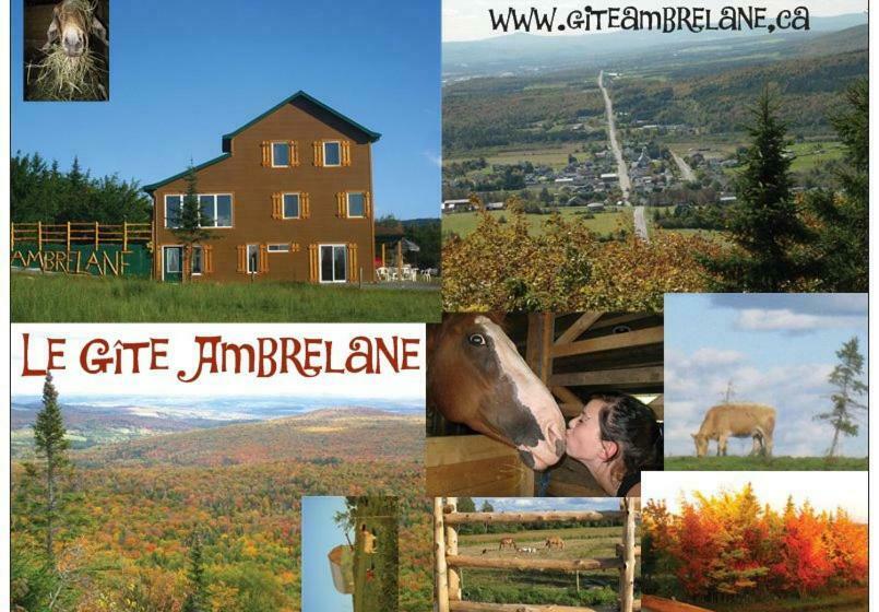 Люкс, Le Gîte Ambrelane