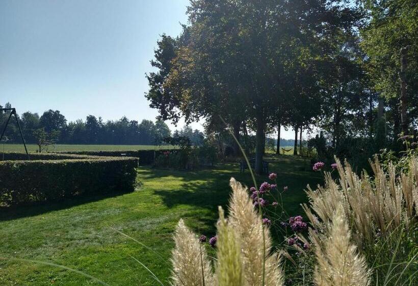 اتاق راحتی, B&b Hotel De Joremeinshoeve
