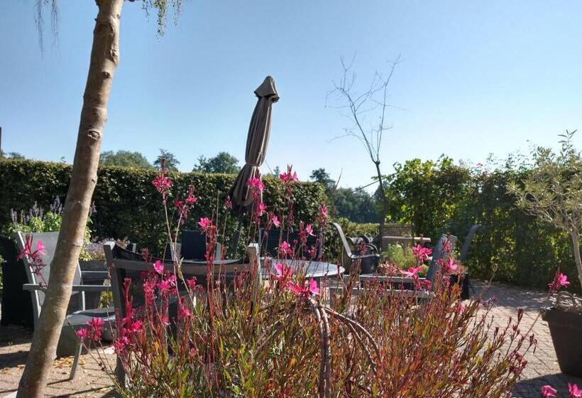 اتاق اکونومی یک تخته, B&b Hotel De Joremeinshoeve