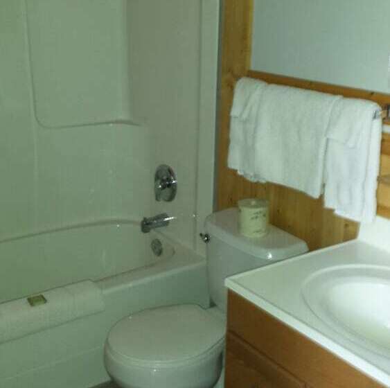 带2个双人床的标准工作室, Lakeside Motel