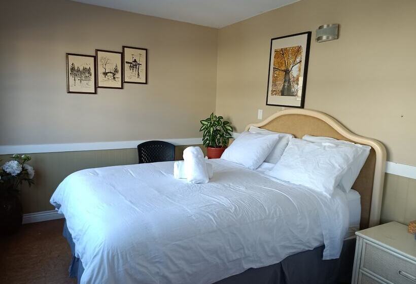 家庭房间共用浴室, Painted Turtle Guesthouse
