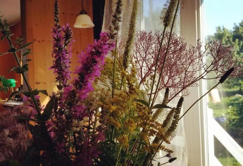 Quarto Estandar Banheiro Compartilhado, Gîte Aux Jardins De L Anse