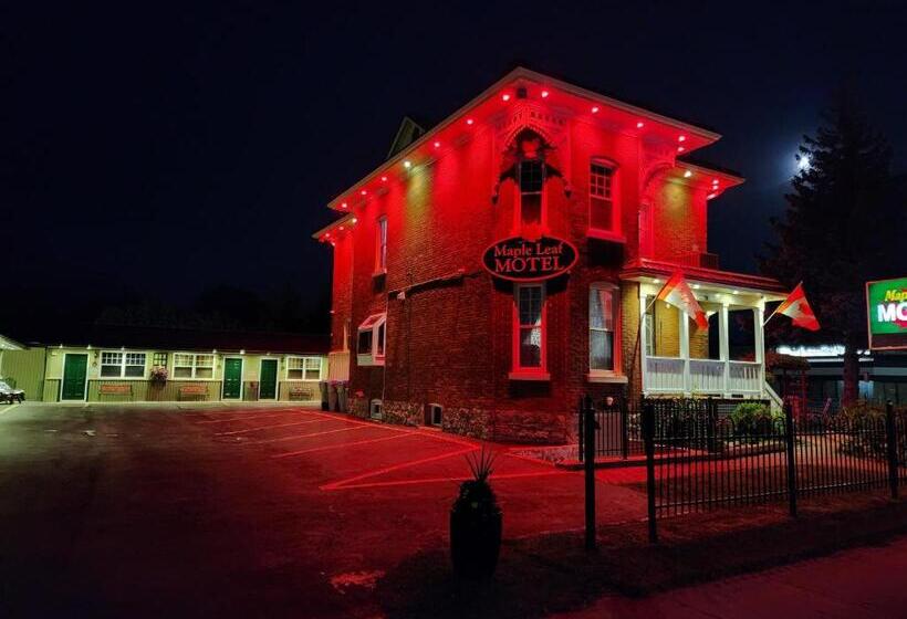 Номер Стандарт, Maple Leaf Motel
