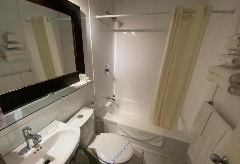 Номер Стандарт 2 Двуспальные Кровати, Motel Panoramique