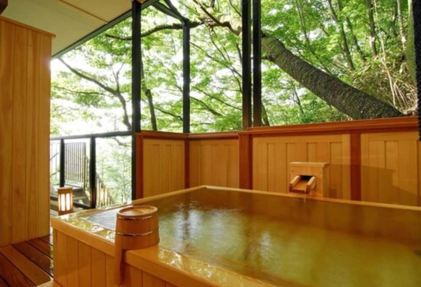 Люкс, Hakone Tokinoshizuku