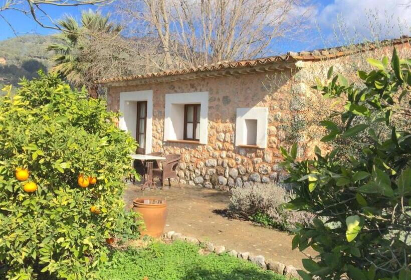 غرفة سوبيريور مزوَّدة بتراس, Finca Cas Sant