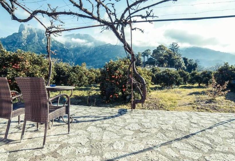 Номер Стандарт с Террасой, Finca Cas Sant