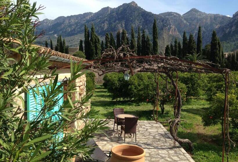 غرفة قياسية مزوَّدة بتراس, Finca Cas Sant