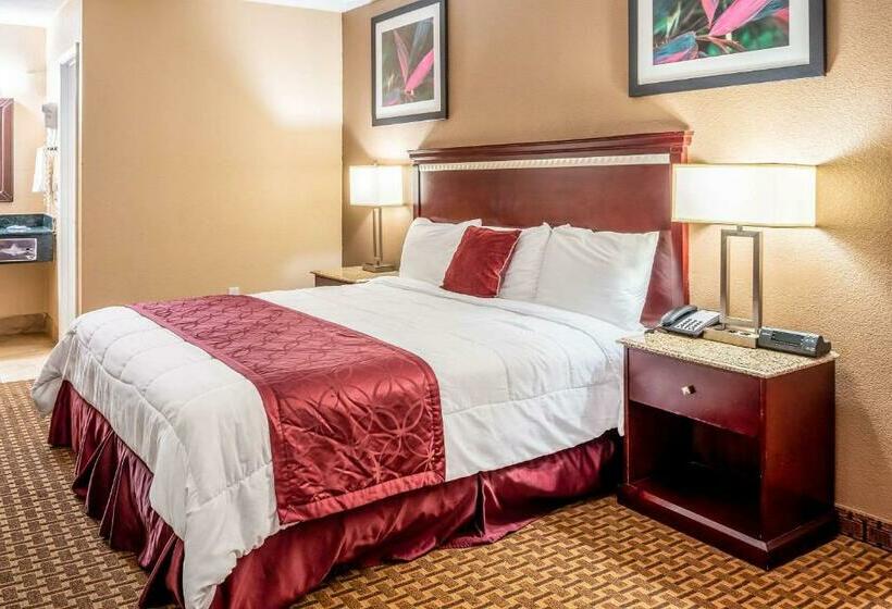 غرفة قياسية سرير كينج, Rodeway Inn