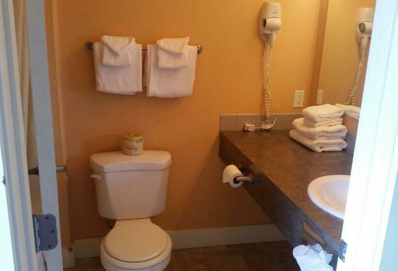 اتاق استاندارد, Teton Valley Motel
