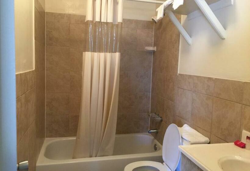 Номер Стандарт 2 Двуспальные Кровати, Coastal Motel