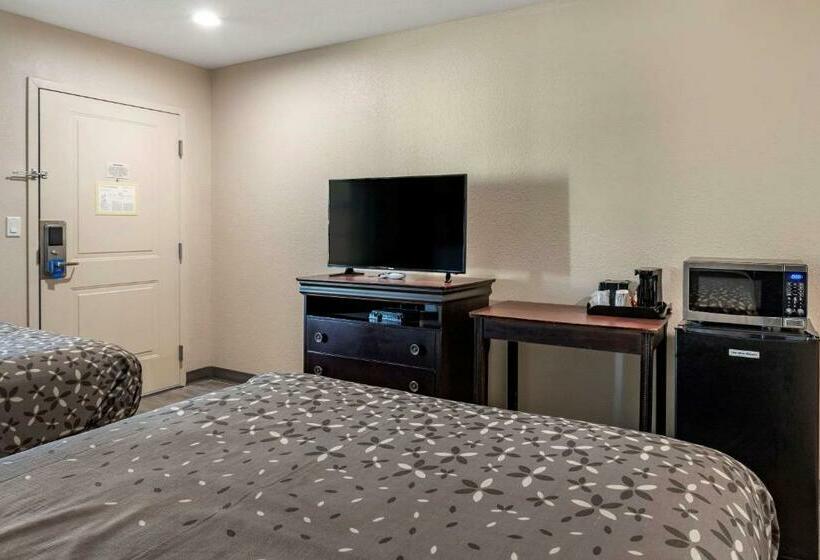 带2个双人床的标准工作室, Rodeway Inn