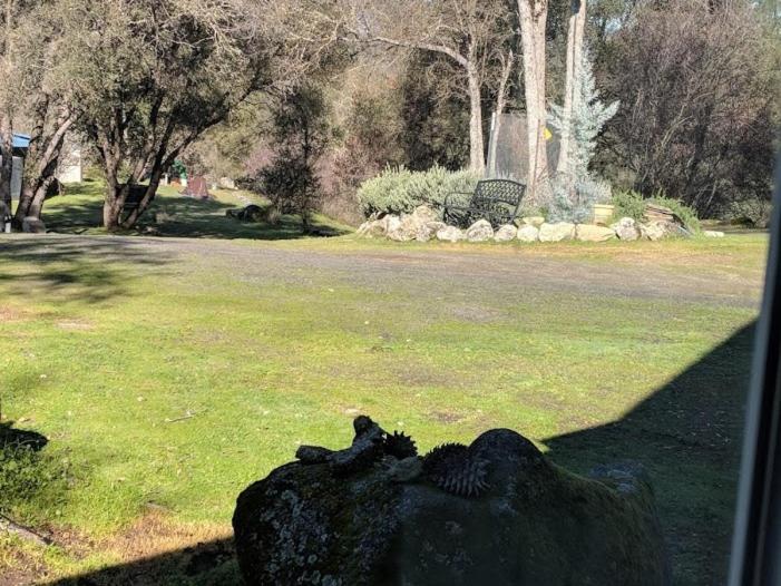 Номер Стандарт Трехместный, Yosemite Nights B&b