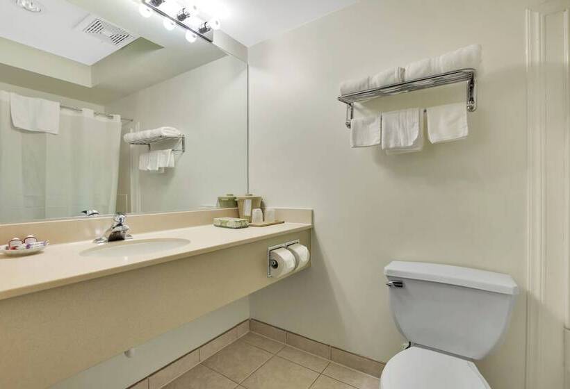 غرفة قياسية سرير مزدوج, Horizon Inn