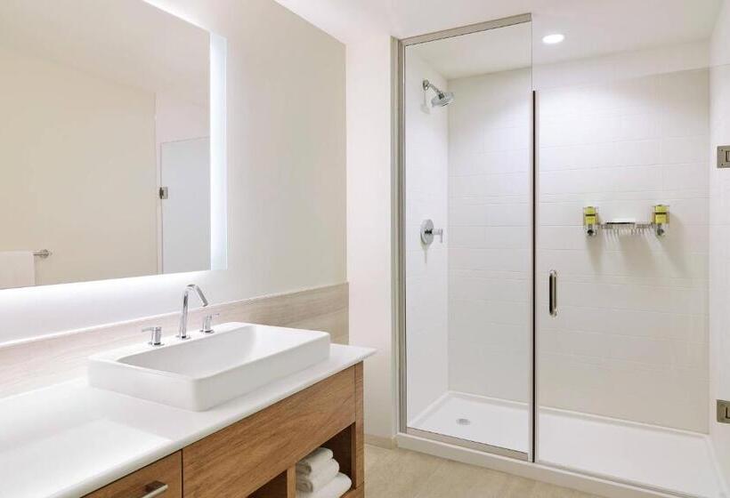 اتاق استاندارد با تخت بزرگ, Element West Des Moines