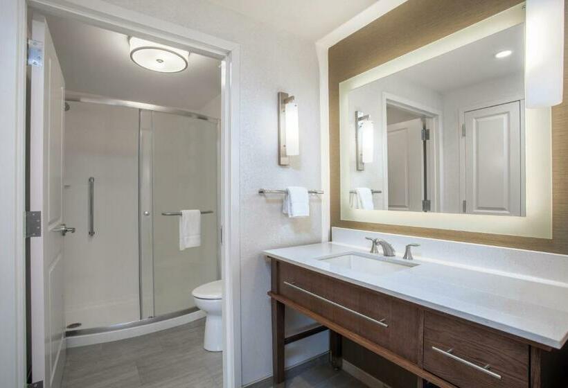 Deluxe Suite King Bed, Homewood Suites By Hilton Saratoga Springs