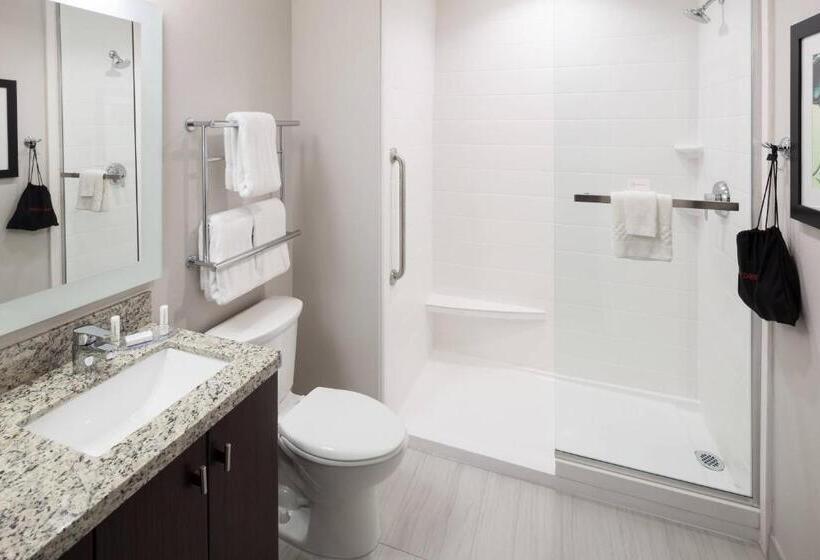 Студио Стандарт Кровать Кинг, Towneplace Suites By Marriott Orlando At Seaworld