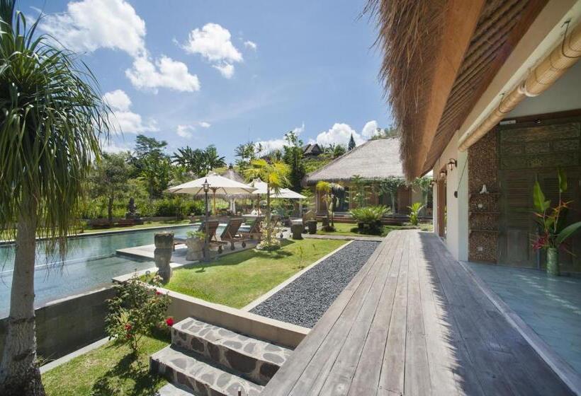 스위트, Villa Kropak