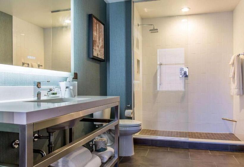 Стандартный Номер Кровать Кинг, Cambria Hotel Chicago Loop   Theatre District