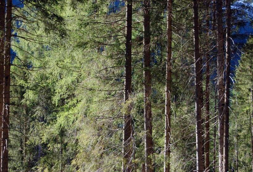 1 베드룸 수피리어 스위트, Chalet Nel Doch Villa Cheia