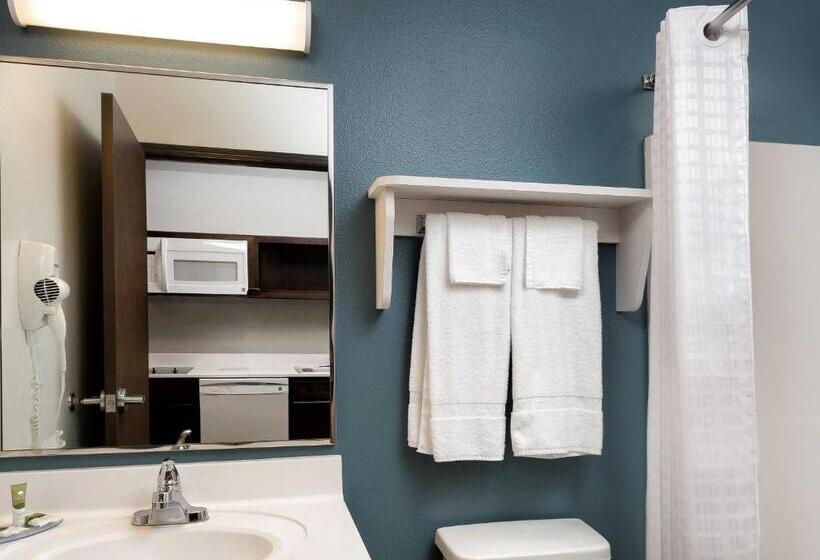 スタンダードスタジオ, Woodspring Suites Houston Iah Airport