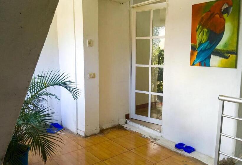 آپارتمان 1 خوابه با چشم‌انداز, Krammer Condo And