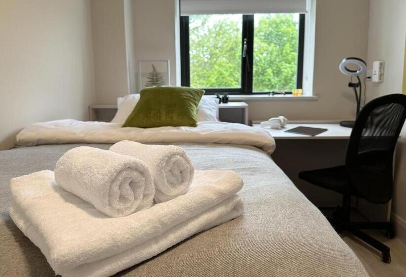 اتاق استاندارد یک تخته با سرویس بهداشتی مشترک, Holiday At Hubble Rooms   Shared Apartment