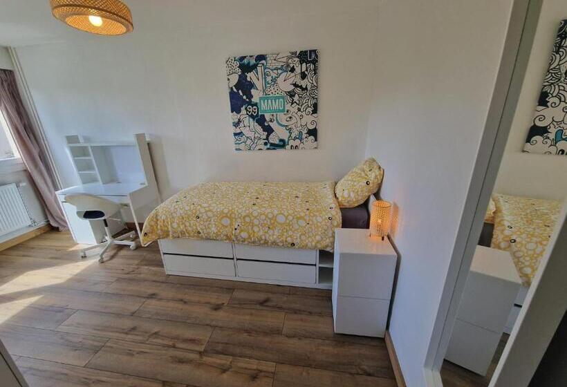 اتاق استاندارد یک نفره, Chambre Lumineuse Orléans Gare