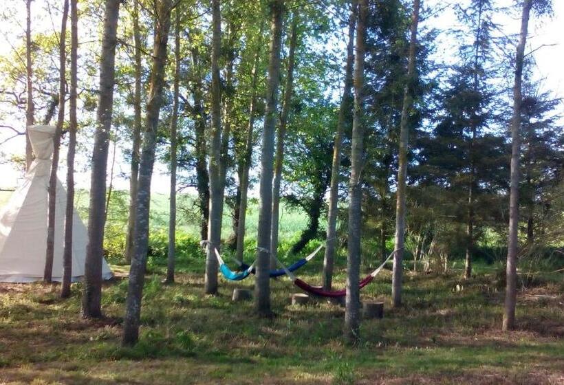 Standard Tent, Au Chat Qui Pêche