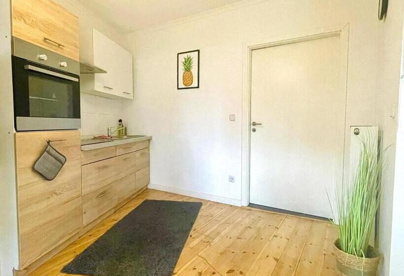 استودیو استاندارد با تراس, Dene Living Apartments