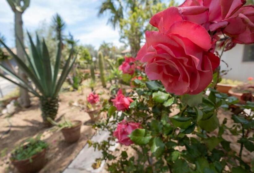 اتاق استاندارد چهار تخته, En Suite Quadruple Room Giardino A Mare