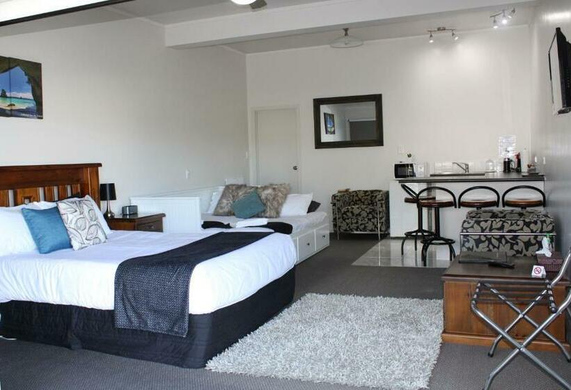 Студия Стандарт, Coromandel Seaview Motel