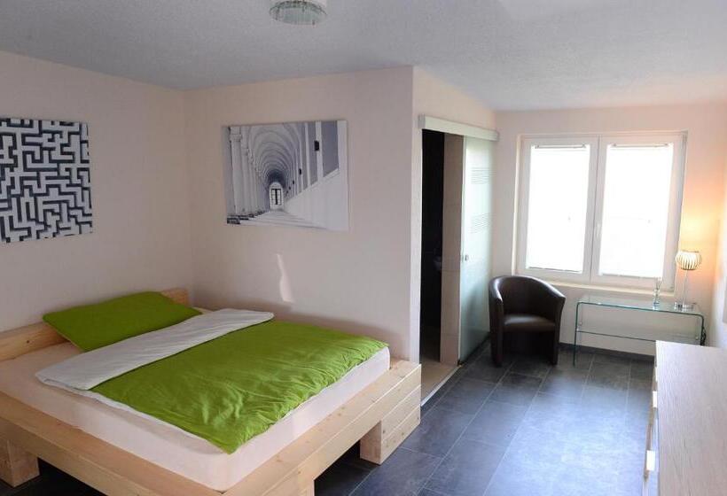 Номер Deluxe, Belp Bern Airport Free Parking