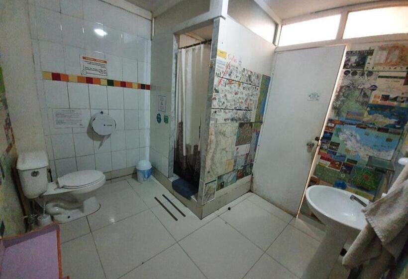 اتاق استاندارد یک تخته با سرویس بهداشتی مشترک, Nómada Eco Hostal