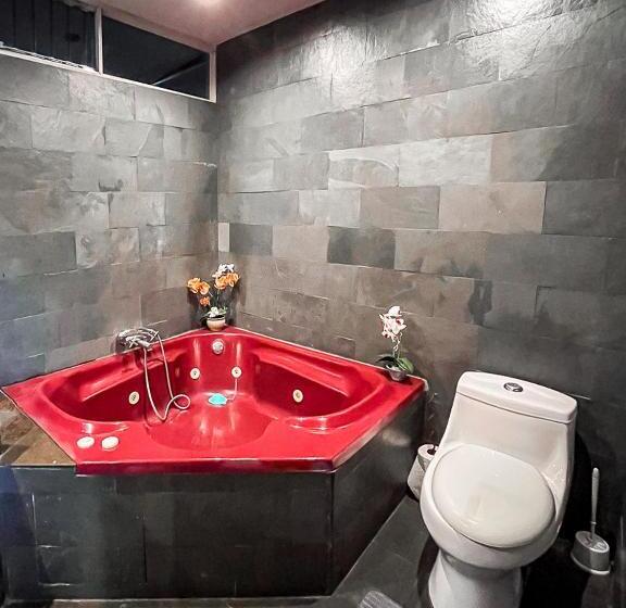 Люкс Повышенной Комфортности, Bambú Lodge San Jose Airport