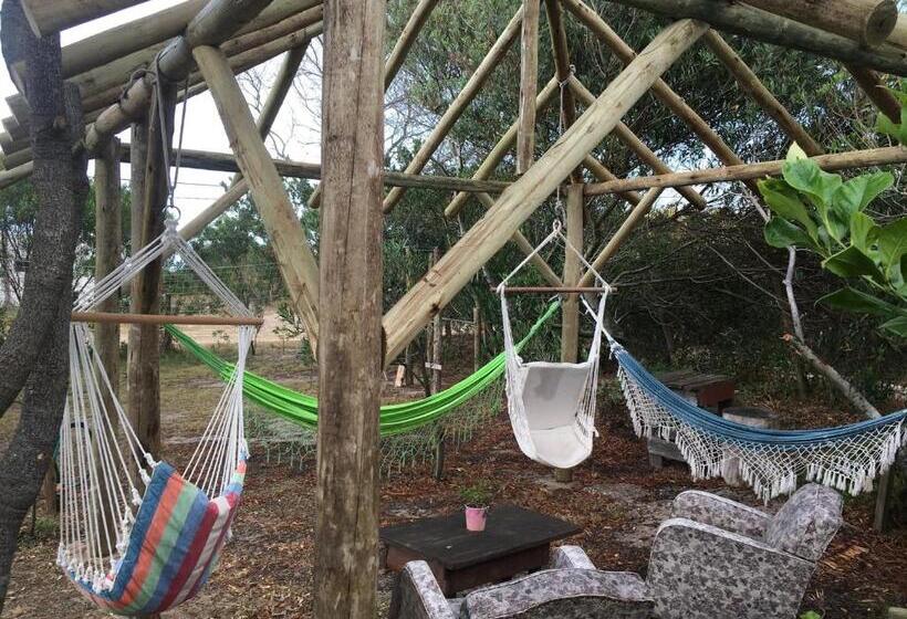 공동 객실, La Brújula Hostel