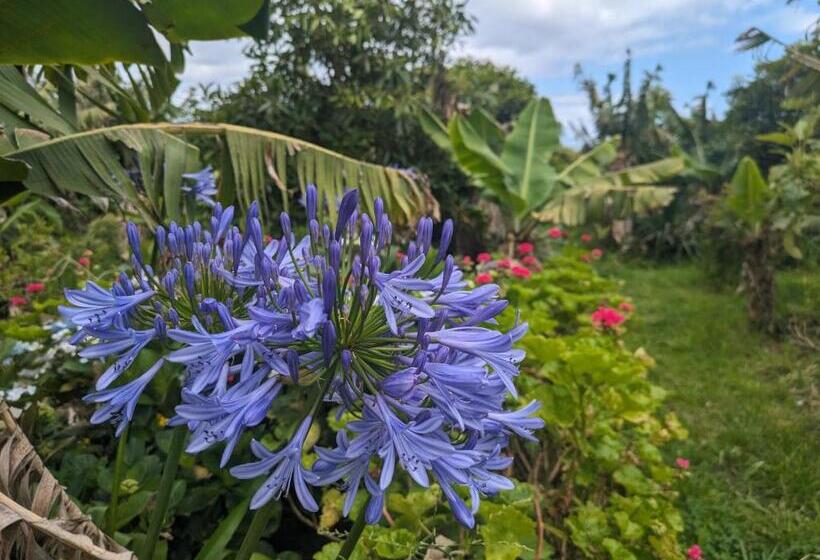 발코니 디럭스 룸, The Plantation Faial