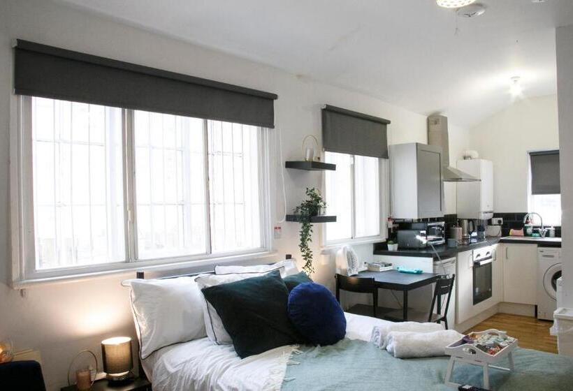 스탠다드 스튜디오, Fortunae City Center Ensuite Apartments