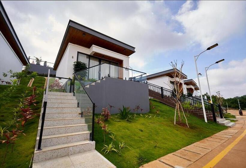 اتاق استاندارد با تخت بزرگ, The Pine Mansion